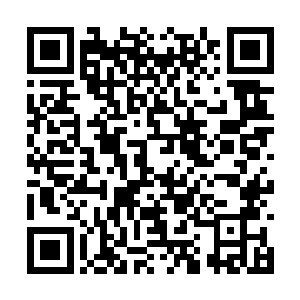 这祖巫残骸之中的某种力量也仿佛是被唤醒了一样二维码生成