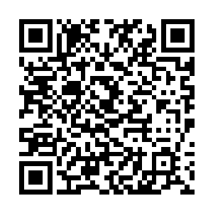 这种三角头怪蛇便是传闻中墨蝰藤的伴生毒虫墨蝰蛇二维码生成