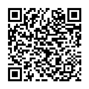 这种事情就算是在仙帝的眼中也完全是不可思议的二维码生成