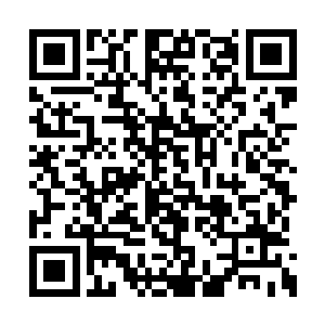 这种人丁寥落情况比异域的道门还让人看不过去二维码生成