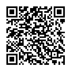 这种人情宋征明已经做了…他就没有必要狗尾续貂了二维码生成