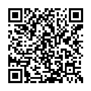 这种从来都是虚无缥缈的需要去领悟的天道法则二维码生成