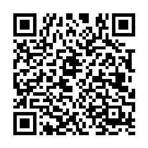 这种传奇怪物虽然还没有进化到最终形态史拉黑蟾二维码生成