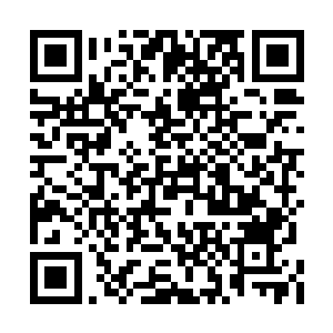 这种佛光对极度虚弱的血犬有着超强的克制能力二维码生成