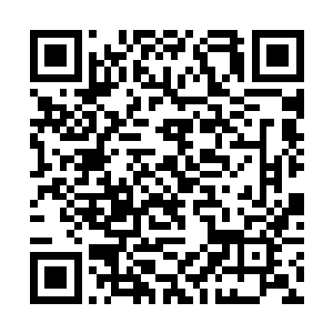 这种光属性的速度让独步的仙诀根本无法锁定许紫烟二维码生成