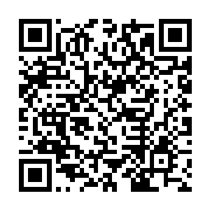 这种决定布莱克森人族走廊局势的几百万人的大会战二维码生成