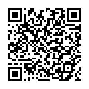 这种单方面接收讯息的交流方式很容易让孩子比较内向二维码生成