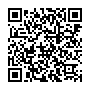 这种反应对于一向沉稳淡然的木萦来说真的是太过罕见二维码生成