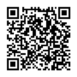 这种周围十多二十个年轻人笑笑闹闹的工作环境二维码生成