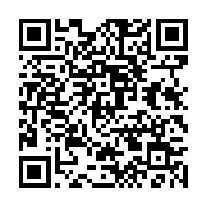 这种味道曾经让国教学院隔壁那个小姑娘逾墙而至二维码生成