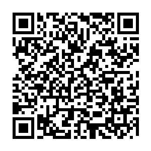 这种天赋并不重要……可要是遇到灵魂超级强者用灵魂对付我怎么办……二维码生成
