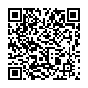 这种密密麻麻的景象绝对会让有密集恐惧症的人直接昏倒二维码生成