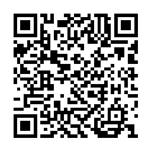 这种小伤对于他这种修为的人物影响也不算太大二维码生成