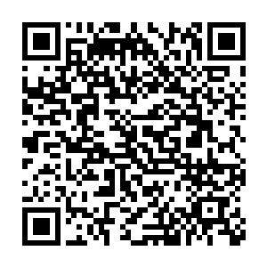 这种就比较好理解了……通常由一个或几个武力最强横的人来统治二维码生成