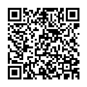 这种带着几分固执的拒绝让丽丝心头的某个地方十分的不舒服二维码生成