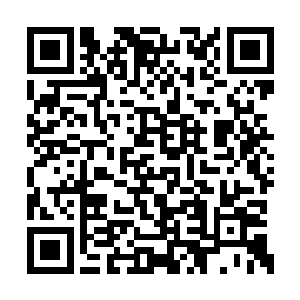 这种情况下她们想要战胜他的可能性其实非常小二维码生成