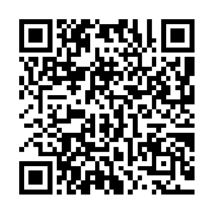 这种感觉就仿佛围着他的并不是一群群马仔手中拿着的不是利刃二维码生成