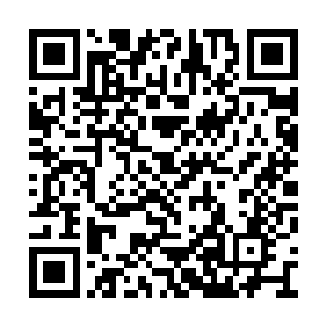 这种承诺的事情呢你是不是应该和你爸爸先说说二维码生成