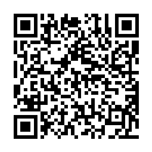 这种损失只是想想就知道对一个新生势力的打击有多大二维码生成
