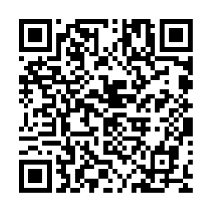 这种收获对于正统仙人出身的陌星子舅甥其实并没有什么大用二维码生成