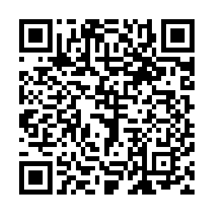 这种机器人还可以向发现疾病的位置释放第一轮预防性药物二维码生成