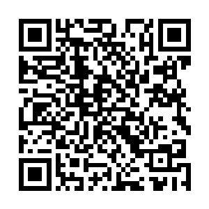 这种杀戮直接将大量爆发的长老们吸引到了她这边的方向二维码生成