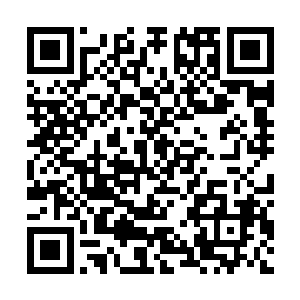这种液态金属机械人可以在g800受伤之后主动为其修复伤势二维码生成