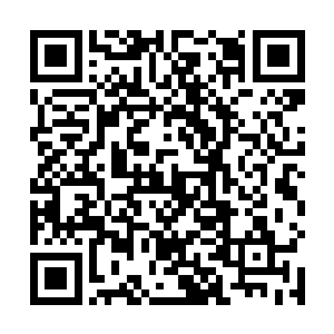 这种热烈在雨果获得最佳男配角小金人之后达到了巅峰二维码生成