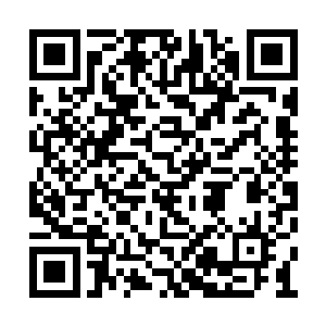 这种神情绝对不是一个普通的小男孩应该具有的二维码生成