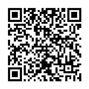 这种神魂烙印一直以某种……类似隐性基因的方式二维码生成