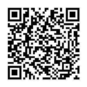 这种种因素才造成了大家对于红地毯留下了深刻的印象二维码生成