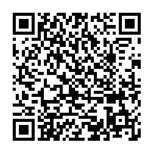 这种精彩完全不知道在什么地方――他们又无法切身体会多纳熊怪的痛苦二维码生成