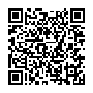 这种级别的会议混进来一个生面孔可不是简单的事二维码生成