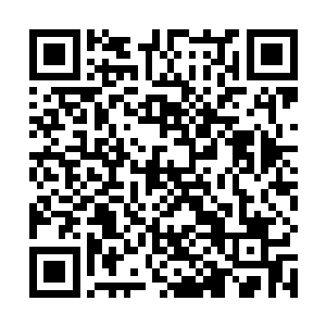 这种能够加速他伤口愈合的白光和暖流到底是什么东西二维码生成