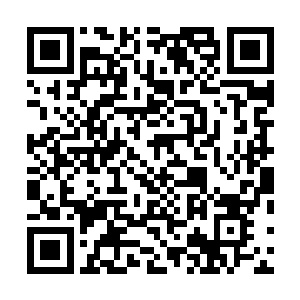 这种训练的程度基本上就已经根本上白子河训练的步伐了二维码生成