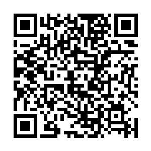 这种豹子因为身上的皮毛而在几十年前被大规模的捕杀二维码生成