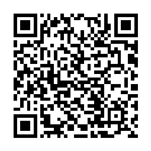 这种轮回的气息要比杨风身上轮回的气息强上很多二维码生成