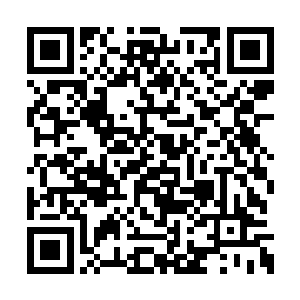 这种预知未来的感觉让张东城觉得有些难以出口二维码生成