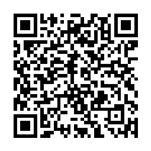 这竟然是从那完全被火焰包裹的庞然大物中传出来的二维码生成