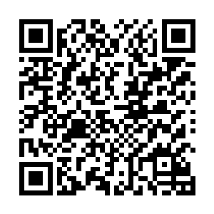 这符宝当初也是那炼虚境界的长老准备用来抵抗雷劫的二维码生成