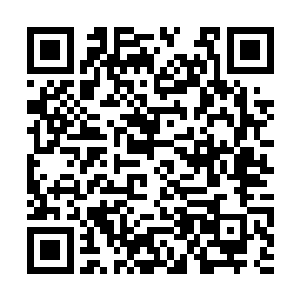 这第二十四座战诗山峰是压死骆驼的最后一根稻草二维码生成