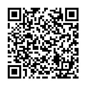 这简直就是狠狠的在华阳宗弟子的脸上踩了一脚啊二维码生成