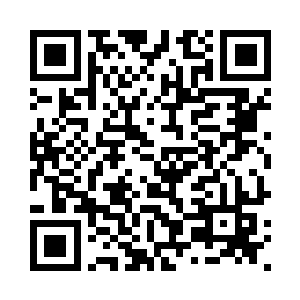 这类人以申林棠和钟憬东带头闹事二维码生成