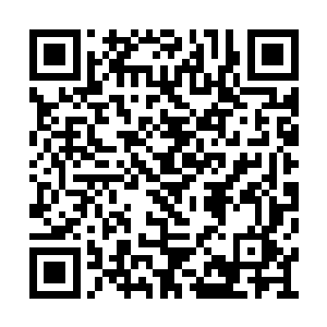 这紫极至尊令乃是天宇商盟发放的最顶级的令牌二维码生成