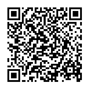 这红色的飞天蜈蚣便被一道快得几乎看不见的红色光芒给凭空撞击了下来二维码生成