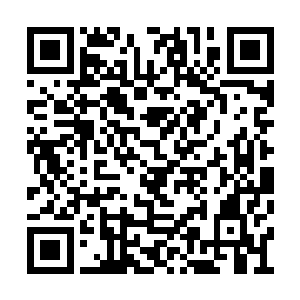 这结成了的一幕幕拳影看上去确是是十分的漂亮二维码生成