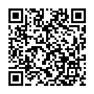 这绝对是非常可怕的……但若是秦方的剑气不去轰击这些大网二维码生成