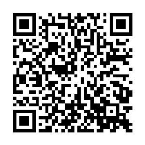 这美女临走前不是应该给自己这个恩人一个联系方式吗二维码生成