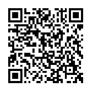 这群人眼睛里面瞬间便爆发出了一团惊喜的神色二维码生成