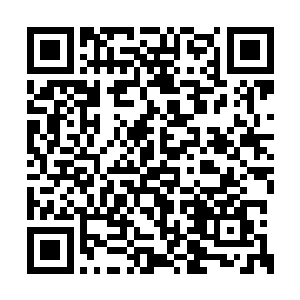 这群人自从进了白云寺就在五沟和尚的考核之下二维码生成